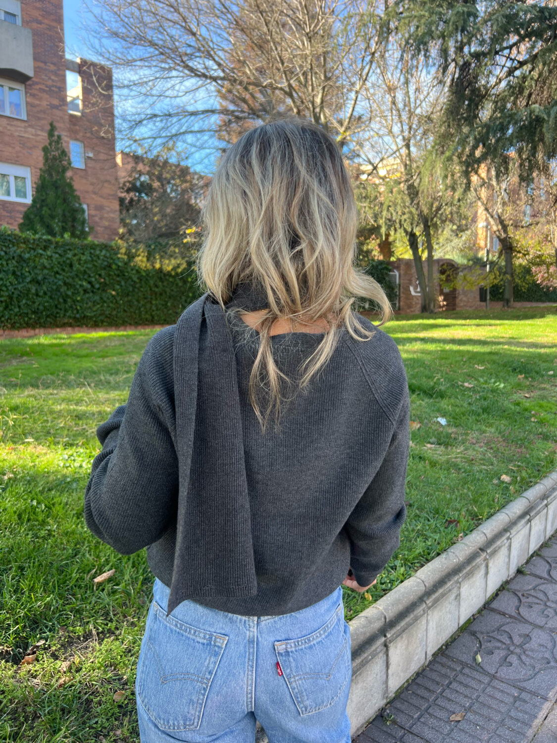 Jersey Dalia - Imagen 2