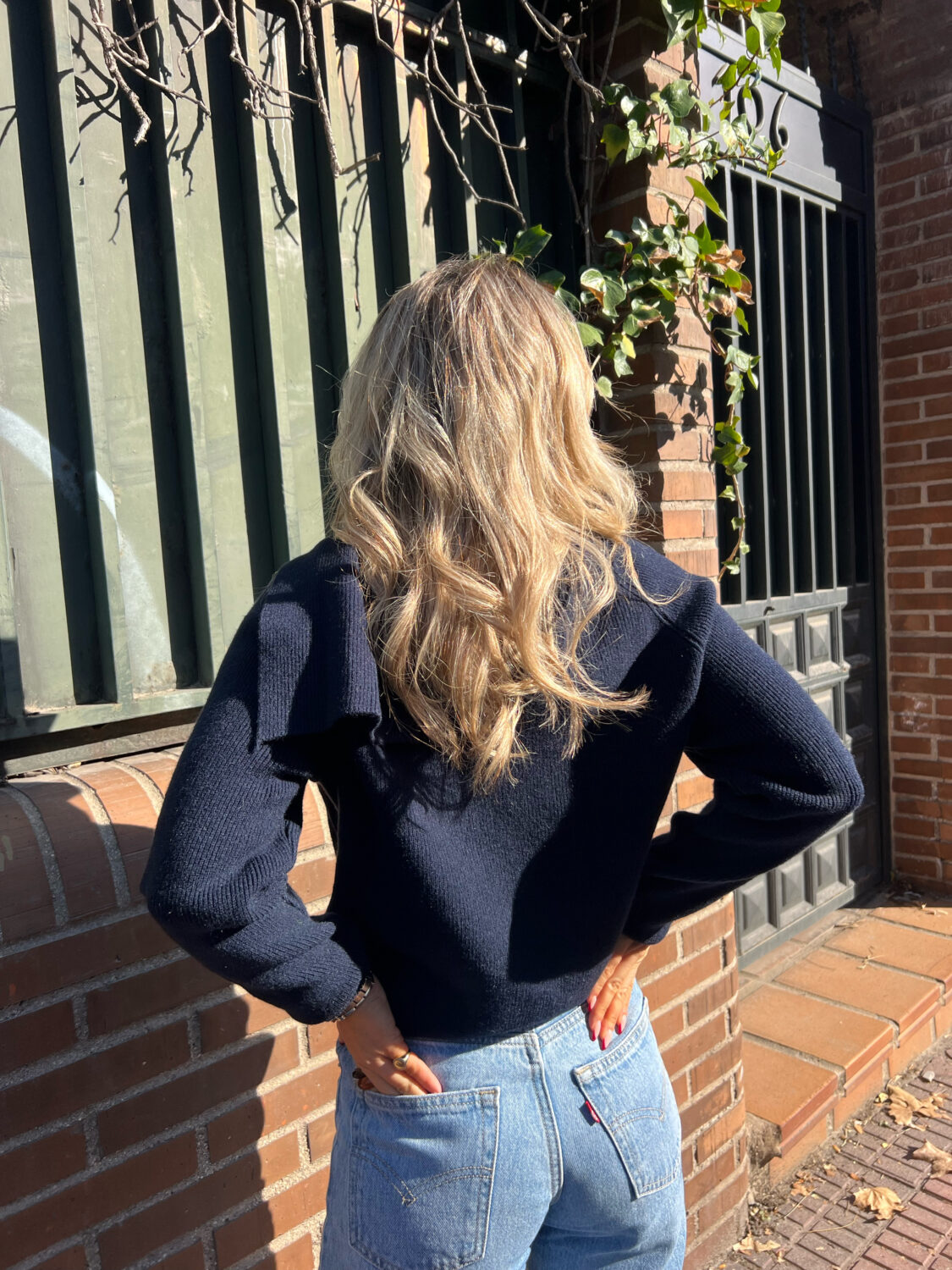 Jersey Dalia - Imagen 3