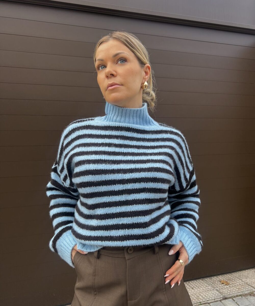 Alternative view of Jersey Bleu